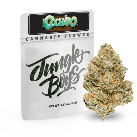 Buy Jungle Boys | Cochino - 3.5g Flower Online