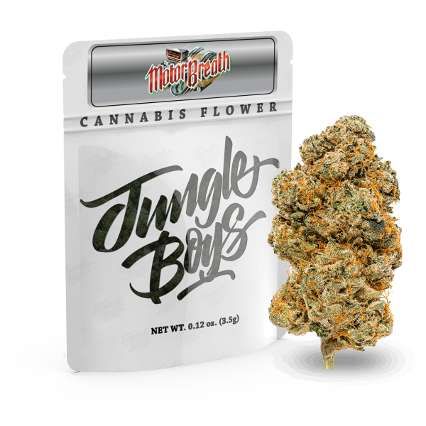 Buy Jungle Boys | Motor Breath - 3.5g Flower Online