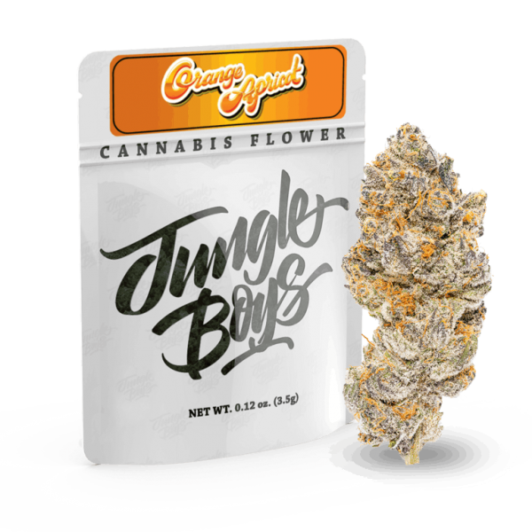 Buy Jungle Boys | Orange Apricot Online