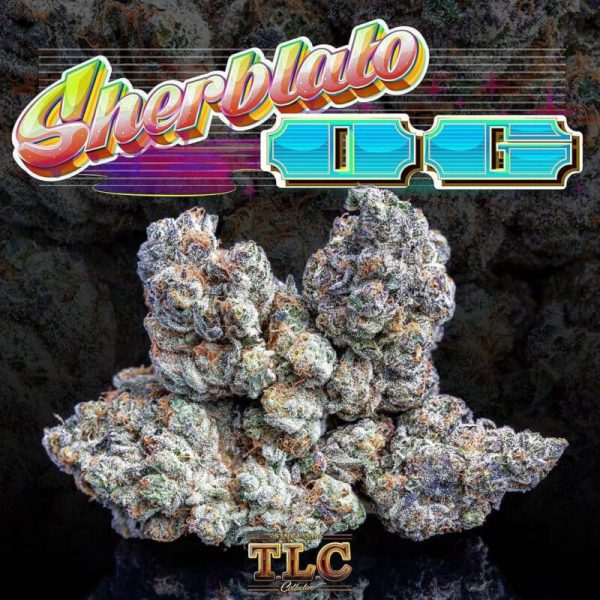 Buy Jungle boys Sherblato OG Online