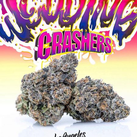 Buy Jungle boys | wedding crashers - 3.5g Flower Online