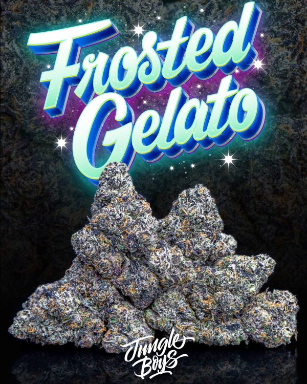 Jungle Boys | Frosted Gelato - 3.5g Flower